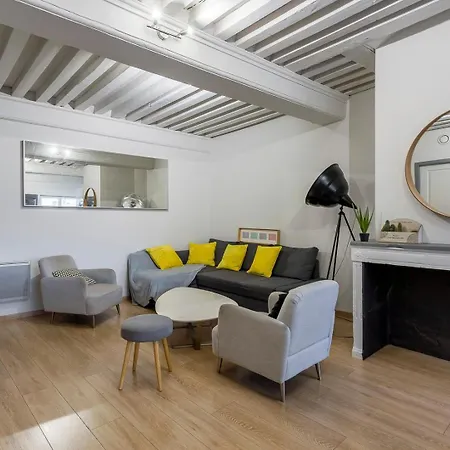 Appartmnt T2 Quai De Saone Apartment *