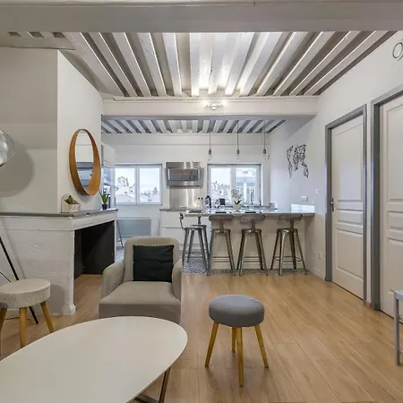 Appartmnt T2 Quai De Saone Apartment *